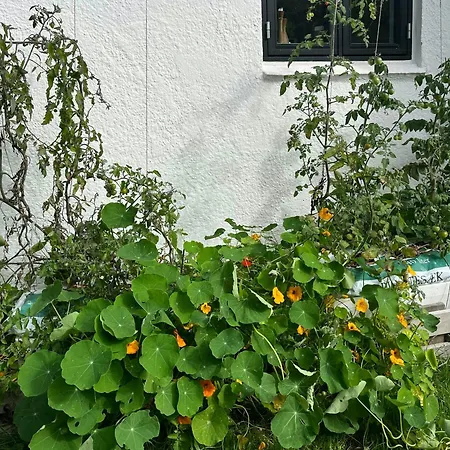 With View Of Dalby Bay Mesinge