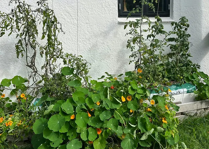 With View Of Dalby Bay Mesinge